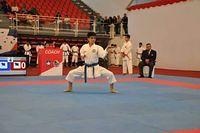 sudamericano karate