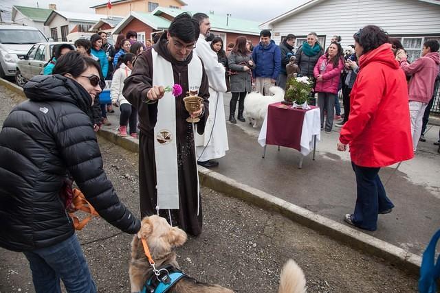 Bendicion de los animalitos (18)