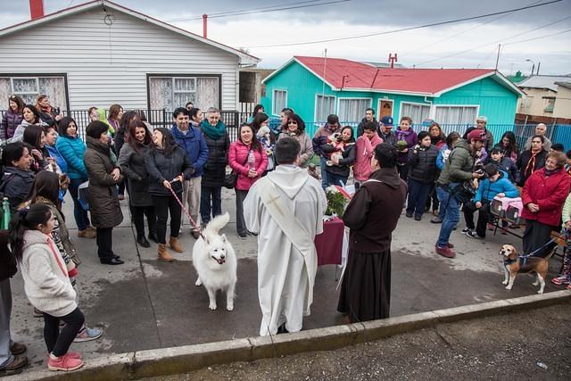 Bendicion de los animalitos (4)