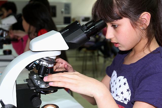 CAMPAMENTO VERANO UMAG LV (5)