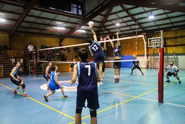 jcs finales boleibol-4333.jpg