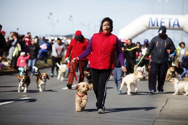 MARATON MASCOTAS 15.JPG