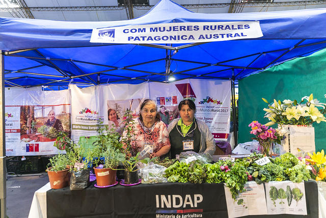 stand expomagallanes 2019-44