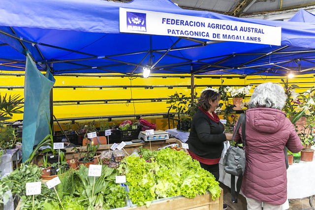 stand expomagallanes 2019-49