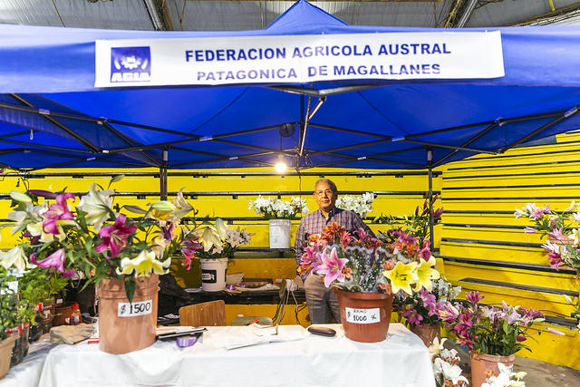 stand expomagallanes 2019-51