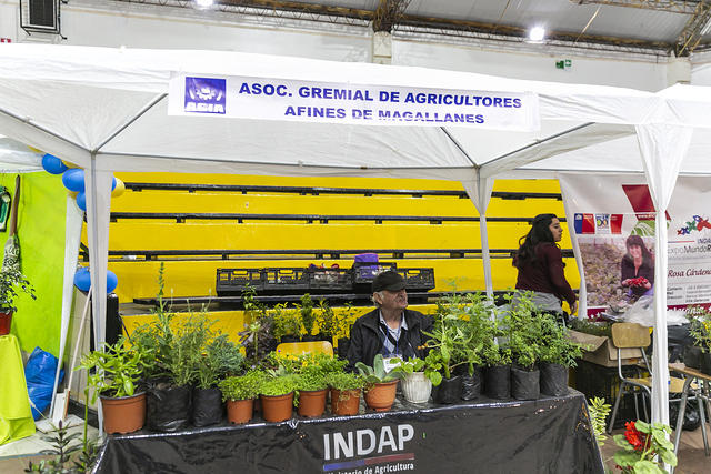 stand expomagallanes 2019-66