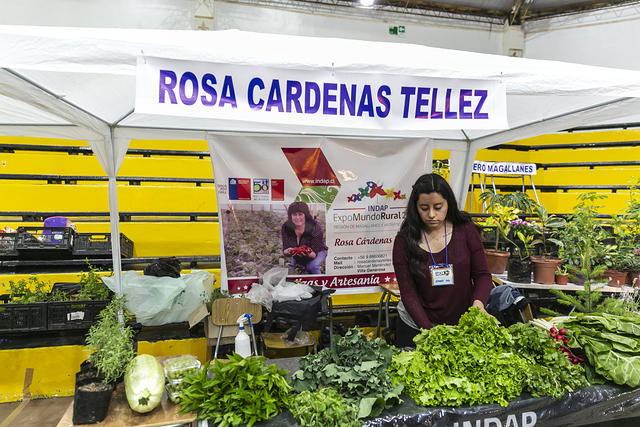 stand expomagallanes 2019-67