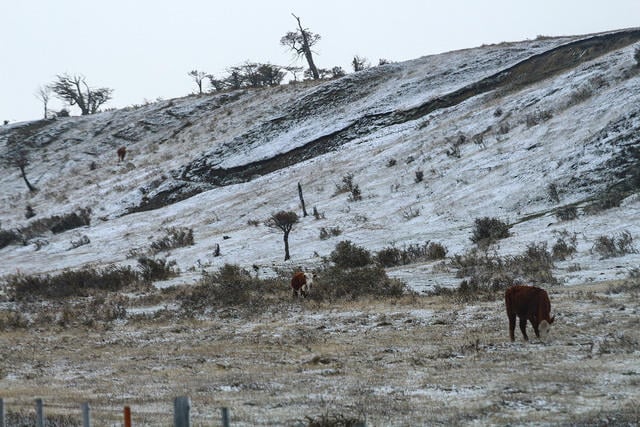 nieve en la carretera j.m 12.10 (4)