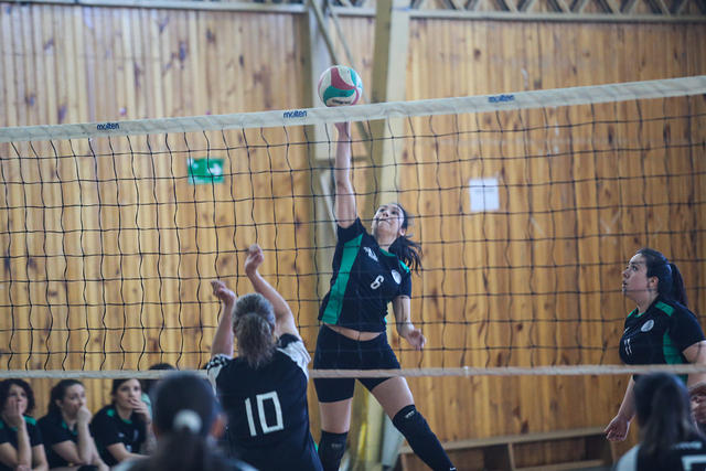 jcs campeonato volley-1759.jpg