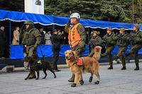 JCS desfile aniversario 91 carabineros-4038.jpg