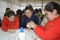 Taller de Ciencias 12