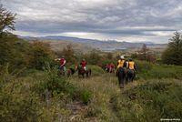 carrera a caballo