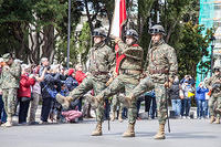 desfile domingo 25 f.