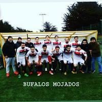 Bufalos Mojados es uno de los punteros de Liga Young