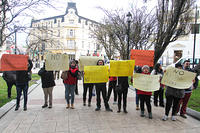 jcs marcha apoderados-4921.jpg