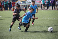 torneo p. arenas,