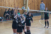 jcs campeonato volley-1731.jpg