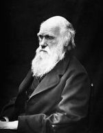 CAPSULA_06_CHARLES_DARWIN
