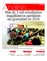 Suplemento 01-11-2015