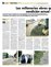 Suplemento 01-12-2013