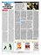 Suplemento 02-01-2011