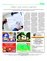 Suplemento 02-01-2016