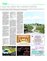 Suplemento 02-01-2016