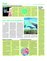 Suplemento 02-01-2016