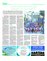 Suplemento 02-04-2016
