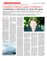 Suplemento 02-11-2014