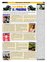 Suplemento 03-04-2011