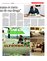 Suplemento 03-05-2015