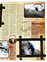 Suplemento 03-09-2011