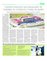 Suplemento 03-09-2016
