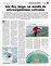 Suplemento 03-11-2013