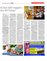 Suplemento 04-01-2015