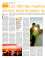 Suplemento 04-09-2010