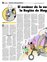 Suplemento 04-11-2012