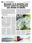 Suplemento 04-11-2012