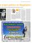 Suplemento 04-12-2010