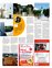 Suplemento 05-02-2011