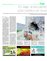 Suplemento 05-03-2016