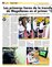 Suplemento 05-05-2013