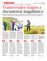 Suplemento 05-06-2016