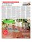 Suplemento 05-07-2015