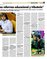 Suplemento 05-10-2014