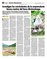 Suplemento 05-10-2014