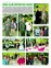 Suplemento 05-11-2011