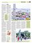 Suplemento 06-01-2013