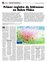 Suplemento 06-01-2013